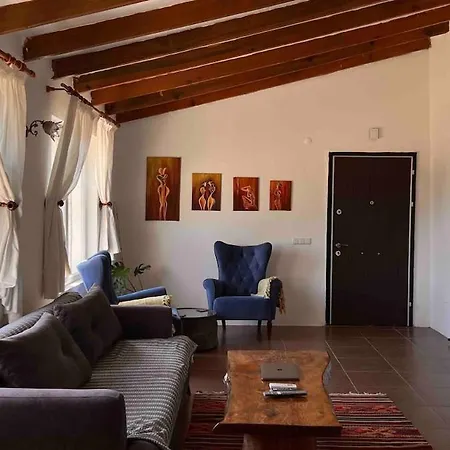 Ferienhaus Karaincirevleri Muestakil Tas Ev *