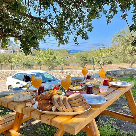 Karaincirevleri Muestakil Tas Ev Casa vacanze *