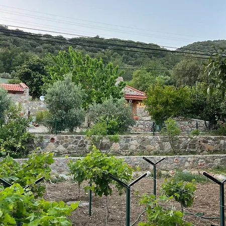 Tatil Evi Karaincirevleri Müstakil Taş Ev